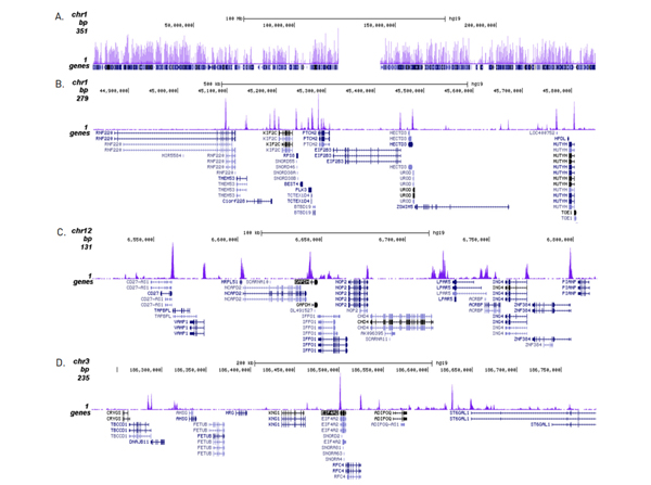 ChIP-seq results of Anti-Histone H2A.Zac pan